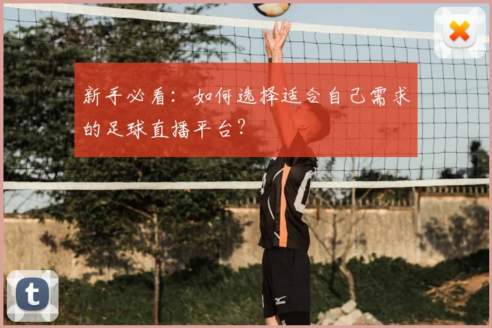 新手必看：如何选择适合自己需求的足球直播平台？
