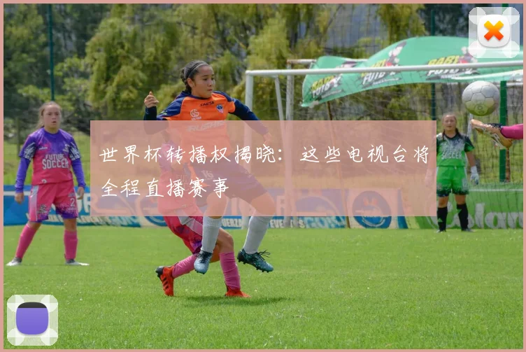 世界杯转播权揭晓：这些电视台将全程直播赛事