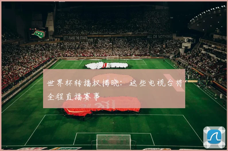 世界杯转播权揭晓：这些电视台将全程直播赛事