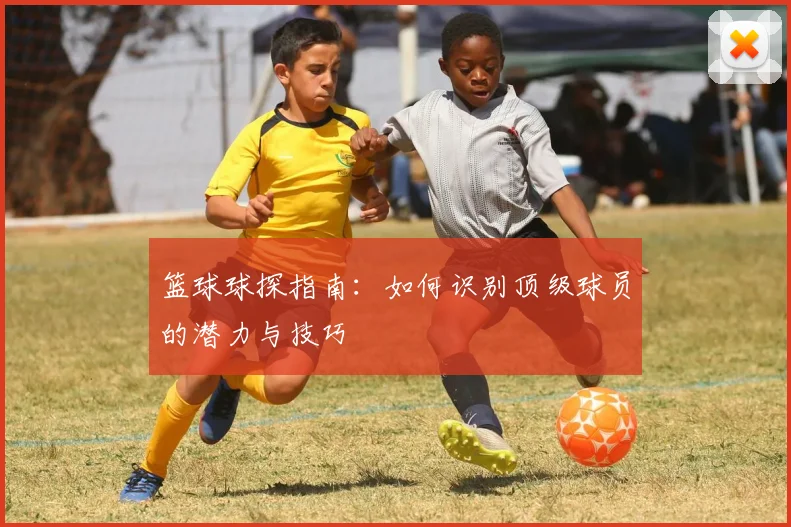 篮球球探指南：如何识别顶级球员的潜力与技巧