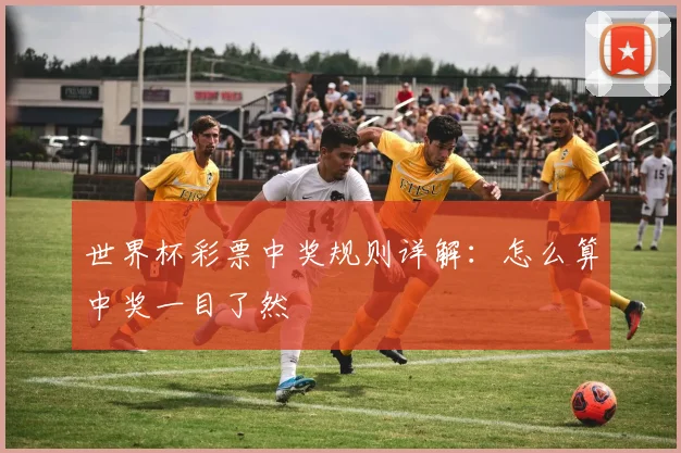 世界杯彩票中奖规则详解:怎么算中奖一目了然